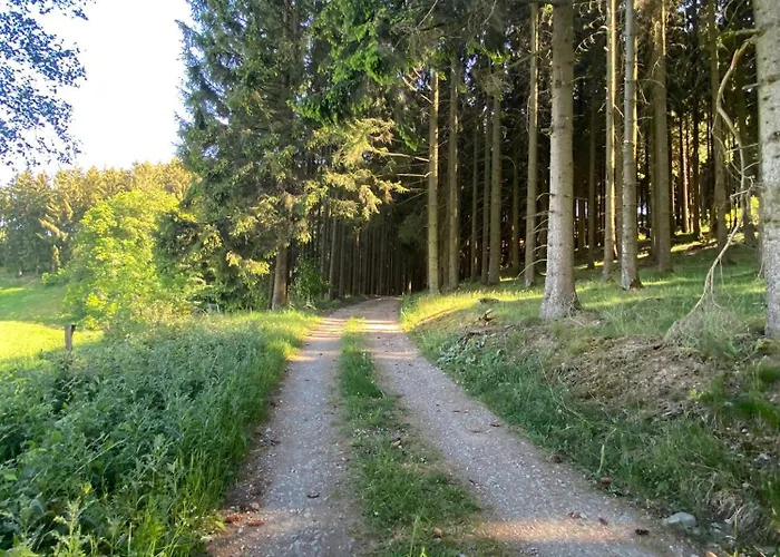 Riekes シュマレンベルク